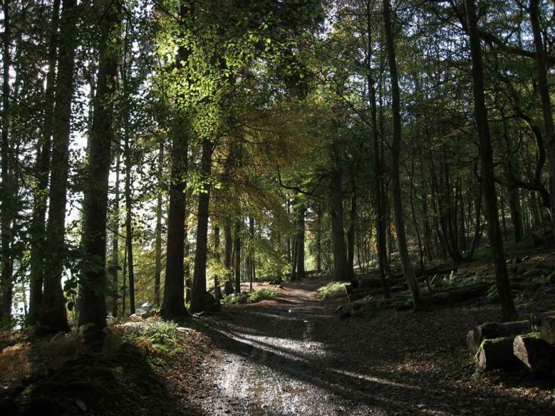 Near Windermere in the English Lake.jpg